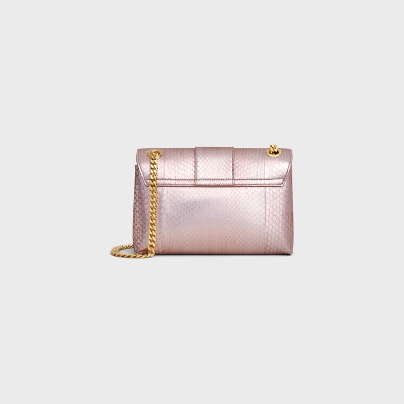 teen celine victoire bag in pearly python