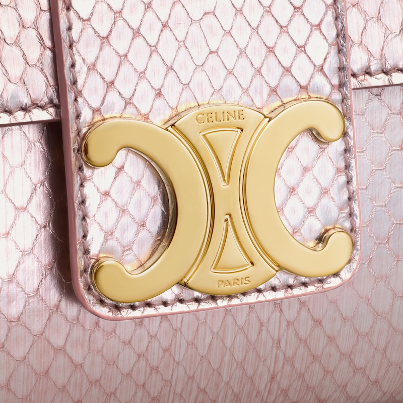 teen celine victoire bag in pearly python