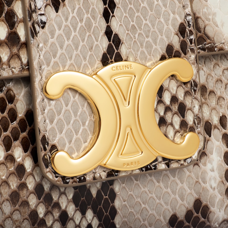 teen celine victoire bag in python