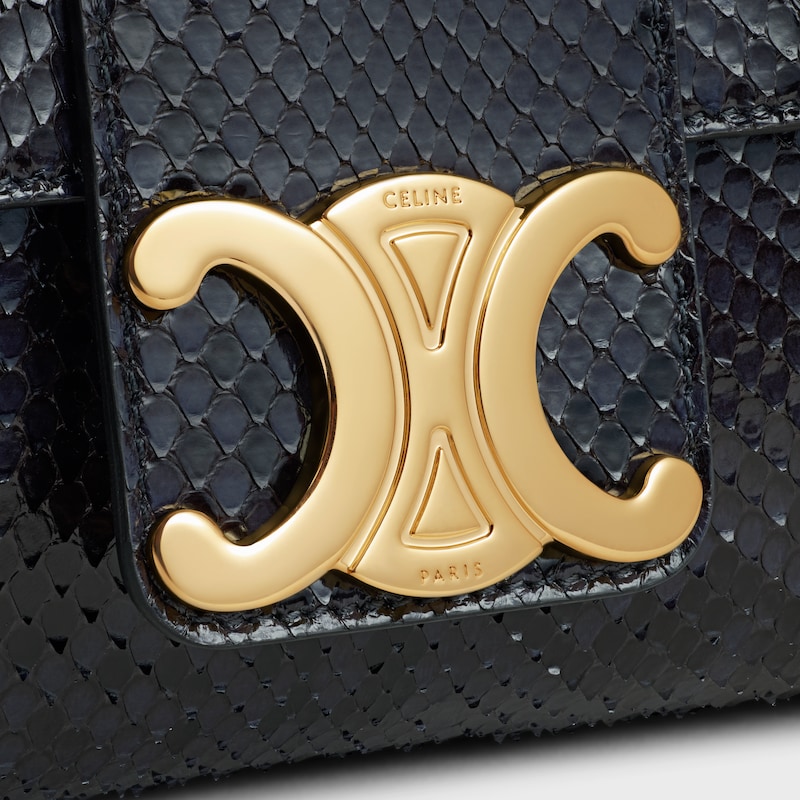 medium celine victoire bag in python